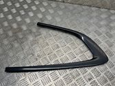 Rear door glass trim molding