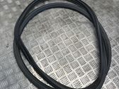 Front door rubber seal