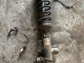 Rear shock absorber/damper