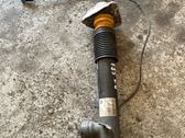 Rear shock absorber/damper