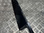 Rear door glass trim molding