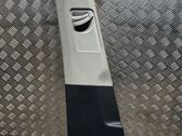 (B) pillar trim (top)