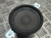 Panel speaker
