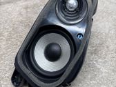 Headliner speaker