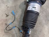 Shock absorber/damper/air suspension