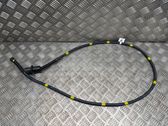 Water drain line hose