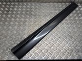 Front door trim (molding)