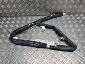 Roof airbag