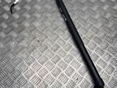 Tailgate/trunk strut/damper