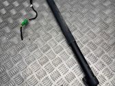 Tailgate/trunk strut/damper
