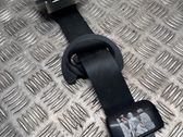 Rear seatbelt