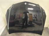 Motorhaube