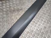 Front door trim (molding)