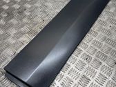 Rear door trim (molding)