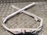 Roof airbag