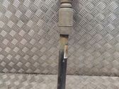 Stoßdämpfer hinten