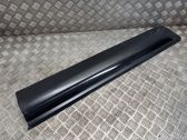 Listón embellecedor de la puerta delantera (moldura)