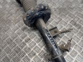 Rear shock absorber/damper