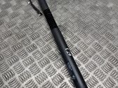 Tailgate/trunk strut/damper