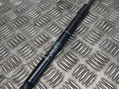Front bonnet/hood damper/strut