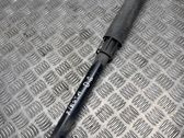 Stoßdämpfer hinten