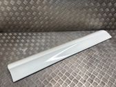 Front door trim (molding)