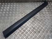 Listón embellecedor de la puerta delantera (moldura)