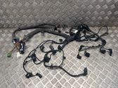 Cableado de instalación del motor