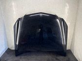 Motorhaube