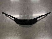 Engine bonnet/hood lock trim molding