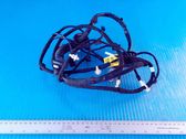 Rear door wiring loom
