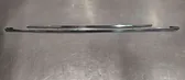 Rear door trim (molding)