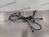 Other wiring loom