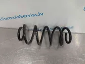 Rear coil spring