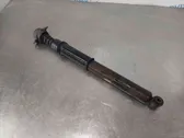 Rear shock absorber/damper