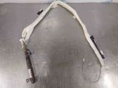 Roof airbag