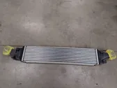 Intercooler radiator