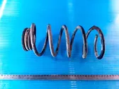 Front coil spring