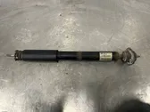 Rear shock absorber/damper