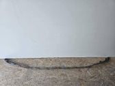 Moldura embellecedora de la barra del amortiguador trasero