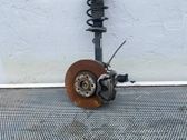Front wheel hub spindle knuckle