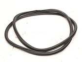 Rubber seal front door (on door)