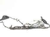 Tubo/manguera de la línea de combustible