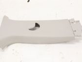 Other sill/pillar trim element