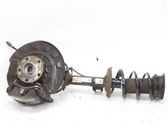 Rear wheel hub