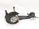 Rear wheel hub