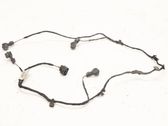 Other wiring loom