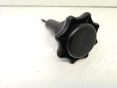 Spare wheel bolt
