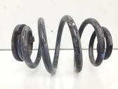 Rear coil spring