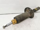 Front shock absorber/damper